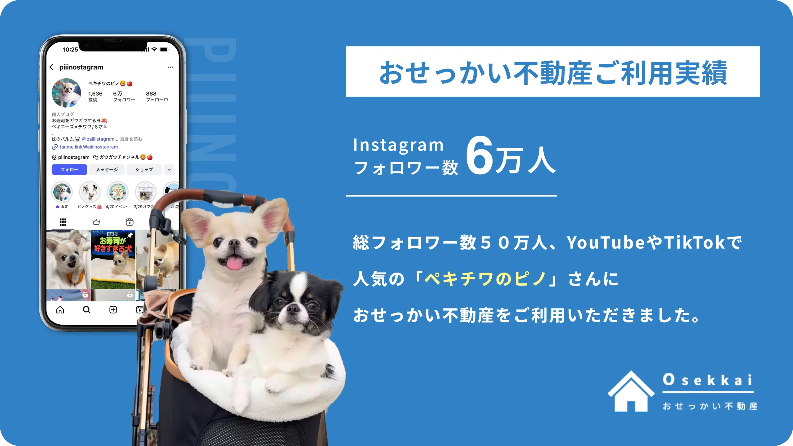 【ご利用実績】ペットインフルエンサーの”ペキチワのピノ”さんに「おせっかい不動産」をご利用いただきました。