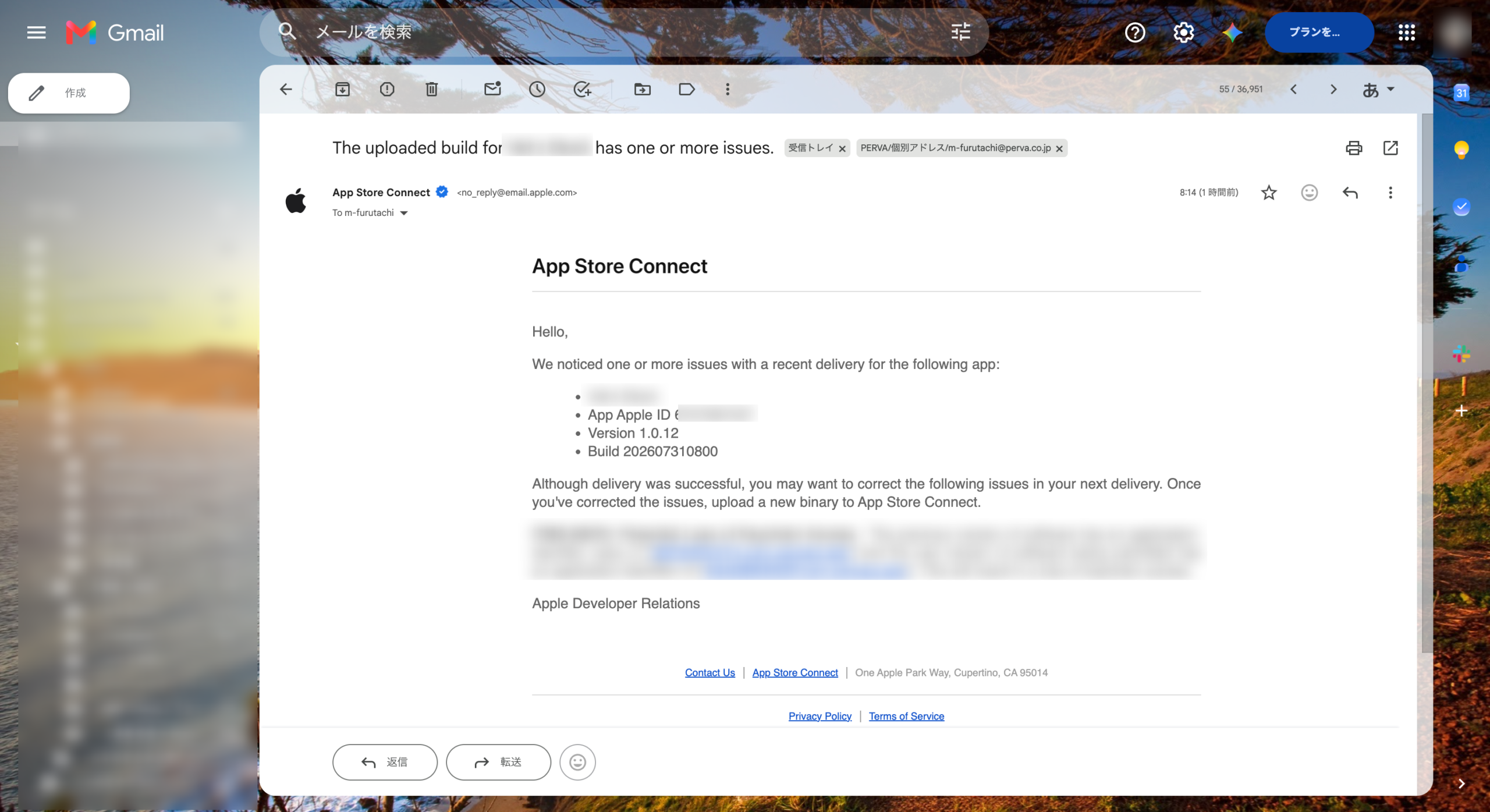 Appleから届く配信結果の通知メール：ビルドの改善点をメールで受け取る